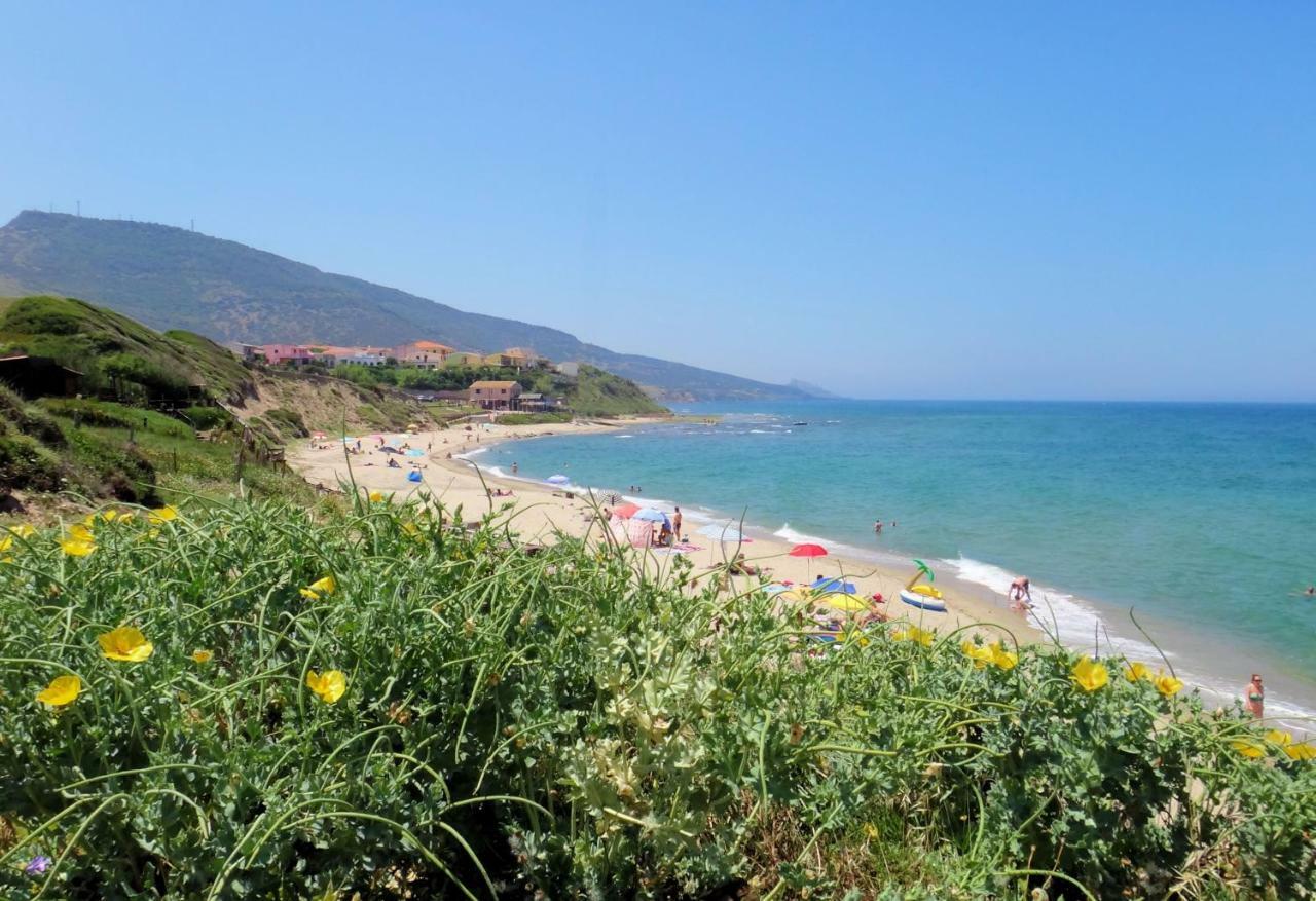 Apartment Tramonto Sea-Front Valledoria  Dış mekan fotoğraf